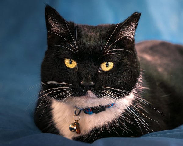 Captivating stories from asia: dive into diverse genres