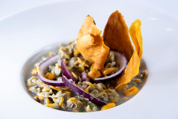 Top approaches to combat and prevent chronic ear infections in dogs: essential tips for pet owners